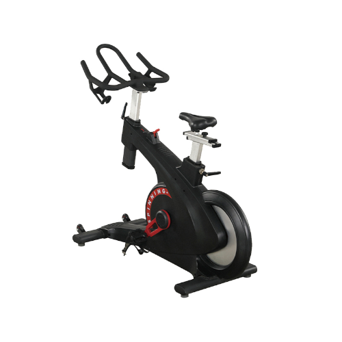 AC4600 Magnetic Bike