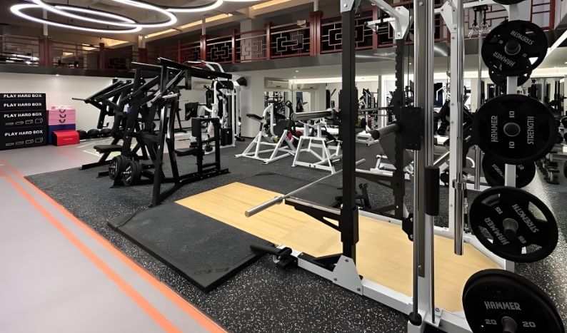 Why Hammer Strength Equipment Is Trusted by Gyms and Rarely Resold