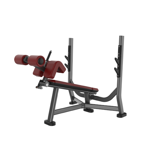 ML1041 Decline Chest Press
