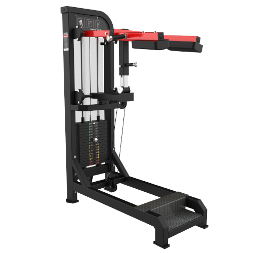 MHM20 Standing Calf