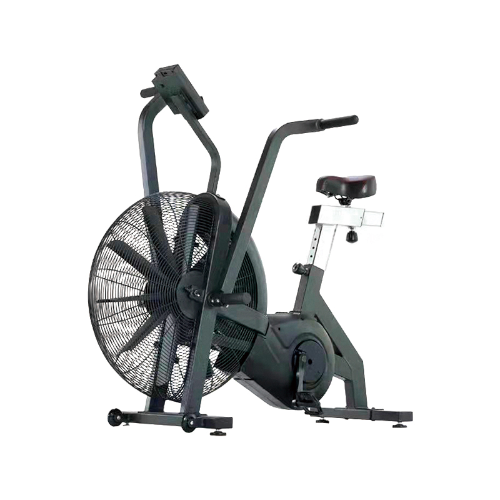 AC6400-2 Fan Bike