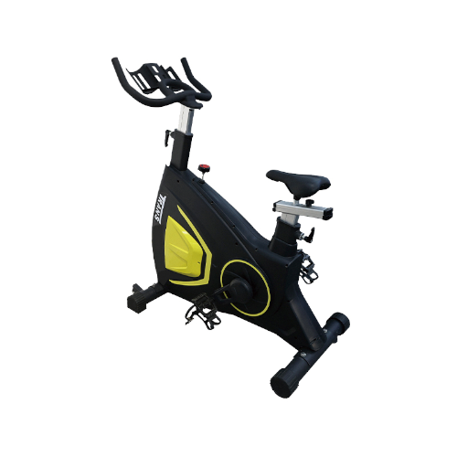 AC9800 Magnetic Bike