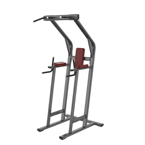 ML1048 Dip & Knee Raise