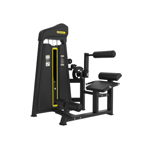 MP886 Back & Abs Combo
