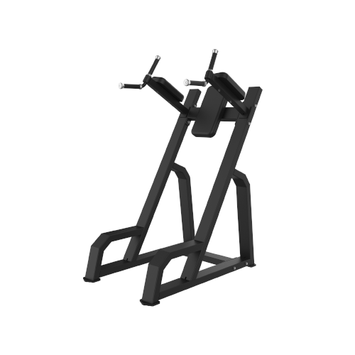 MP847 Dip & Knee Raise