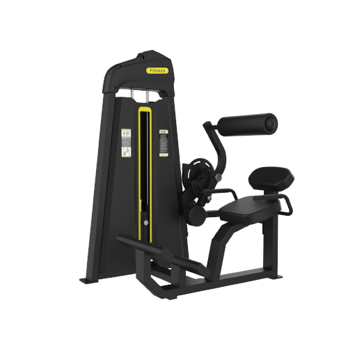 MP831 Back Trainer