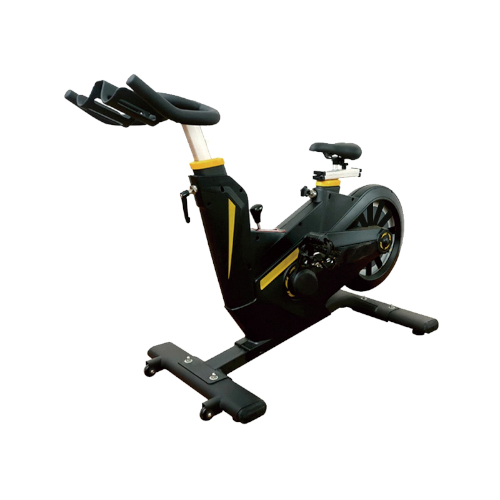 AC7100 Magnetic Bike
