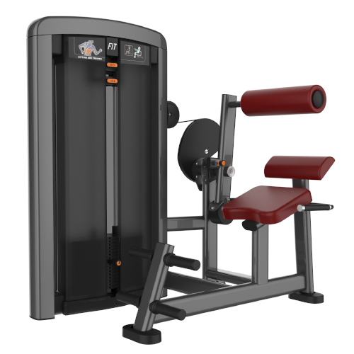 ML1031 Back Extension