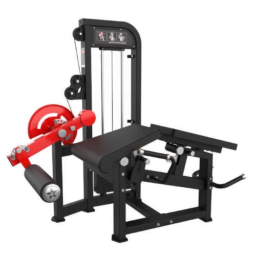MHM84A Leg Extension & Curl Combo