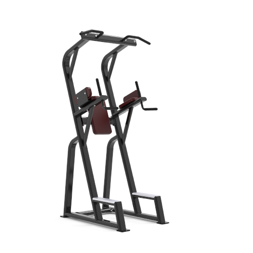MP847B Dip & Knee Raise Trainer