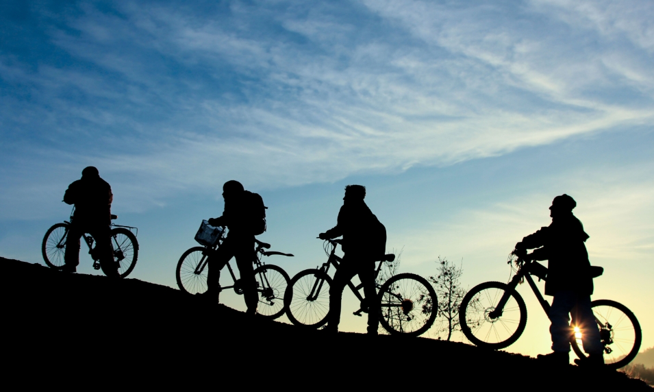 Cycling vs. Running: A Professional Overview