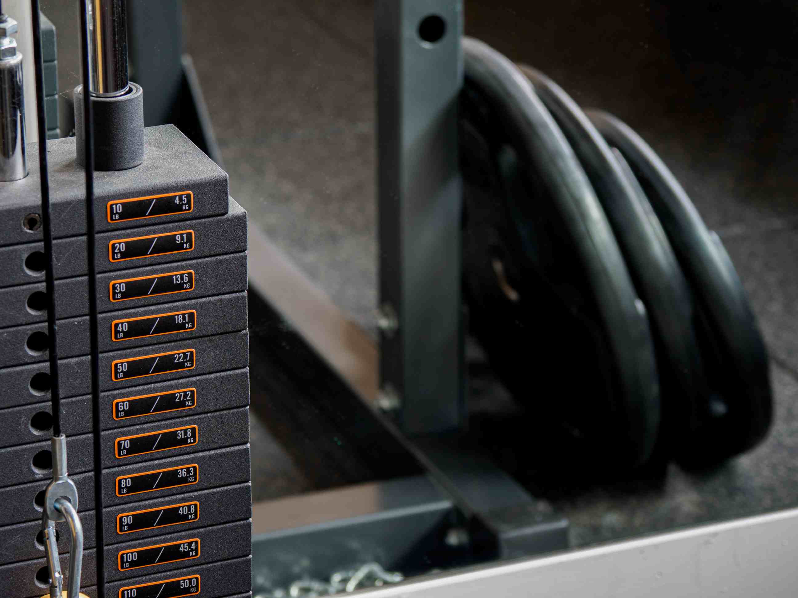 Gym Strength Equipment Guide: Types, Functions, and Benefits
